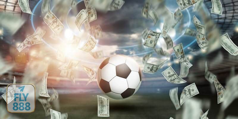 UG Sport - UG Sport cung cấp những loại hình đặt cược nào?